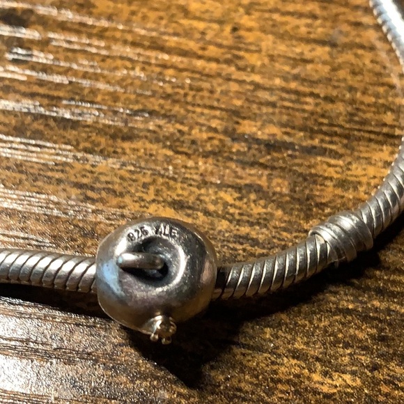 Pandora Apple with Worm Charm - Picture 3 of 3